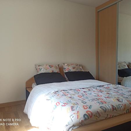 Bischheim Super Appartement Avec Terasse מראה חיצוני תמונה